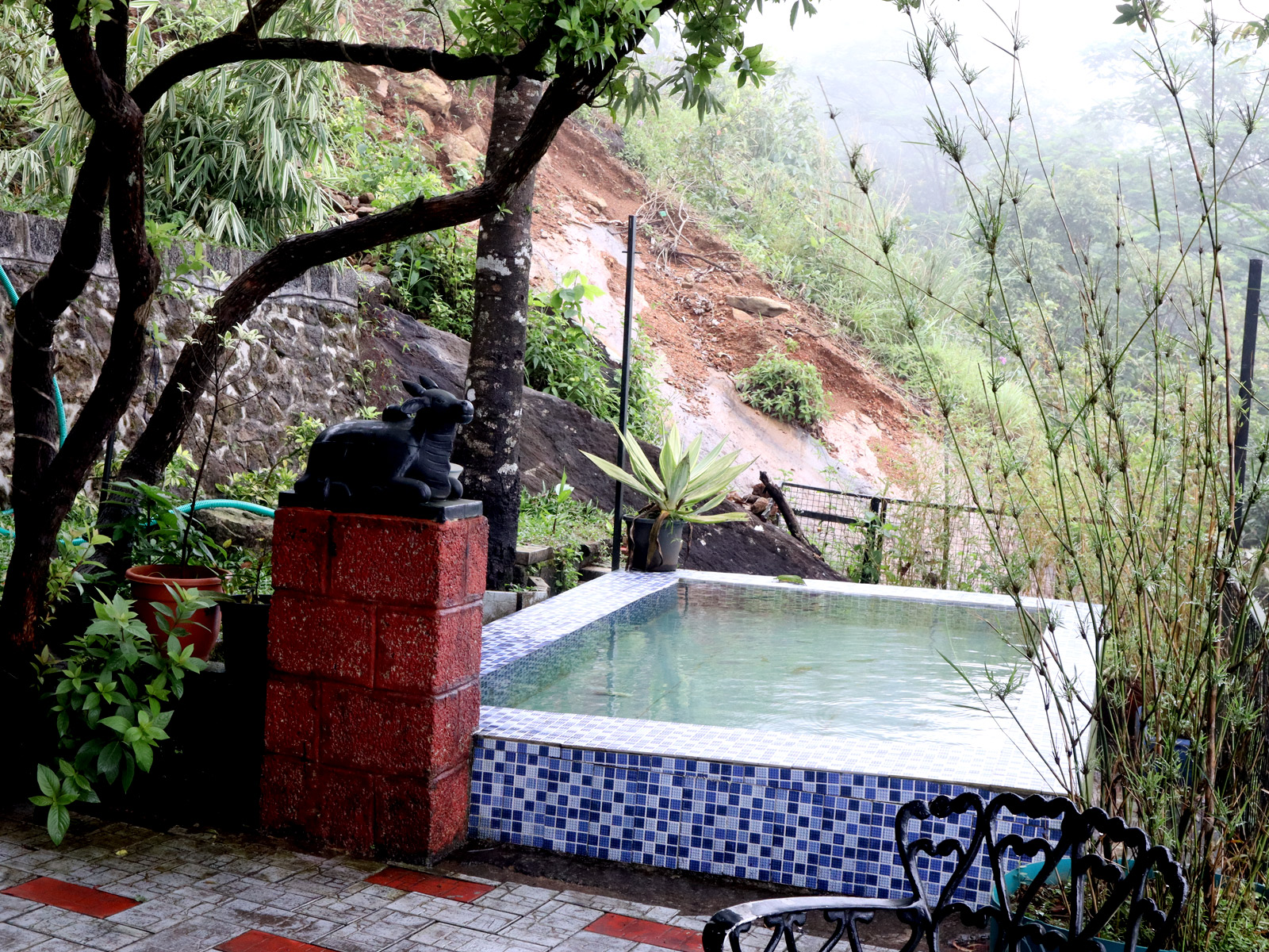 Pool & outdoor area