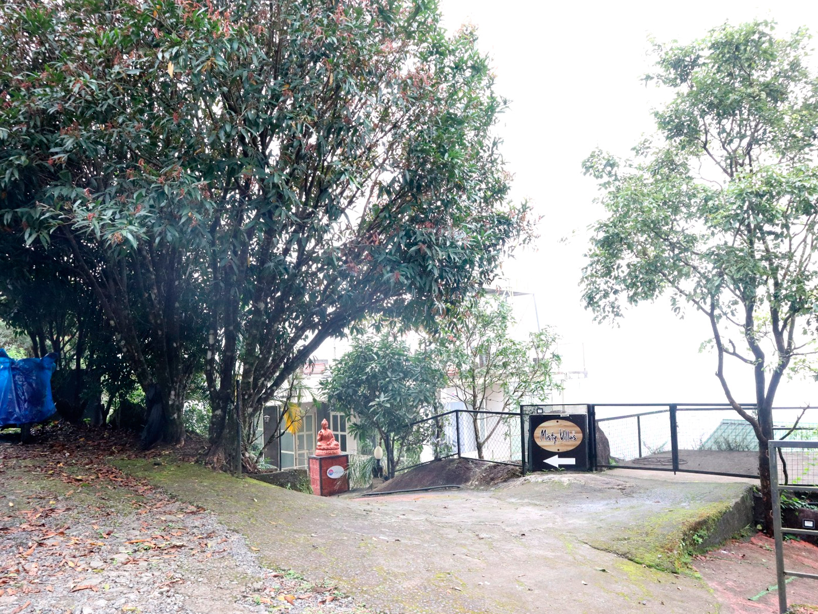Terrace view