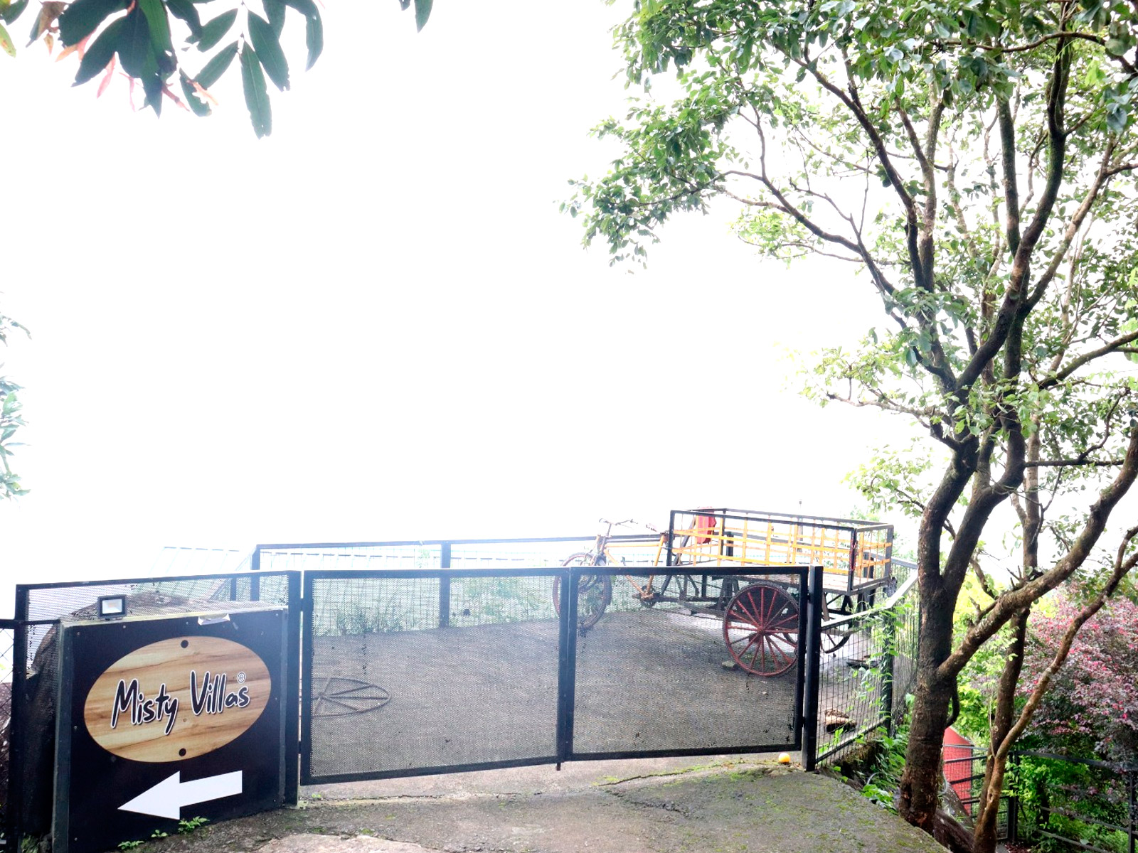 Terrace view