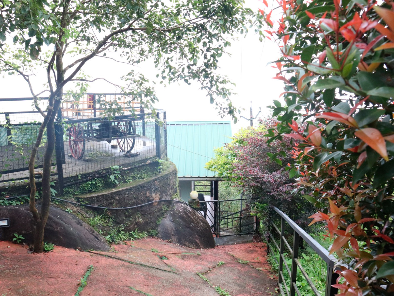 Terrace view