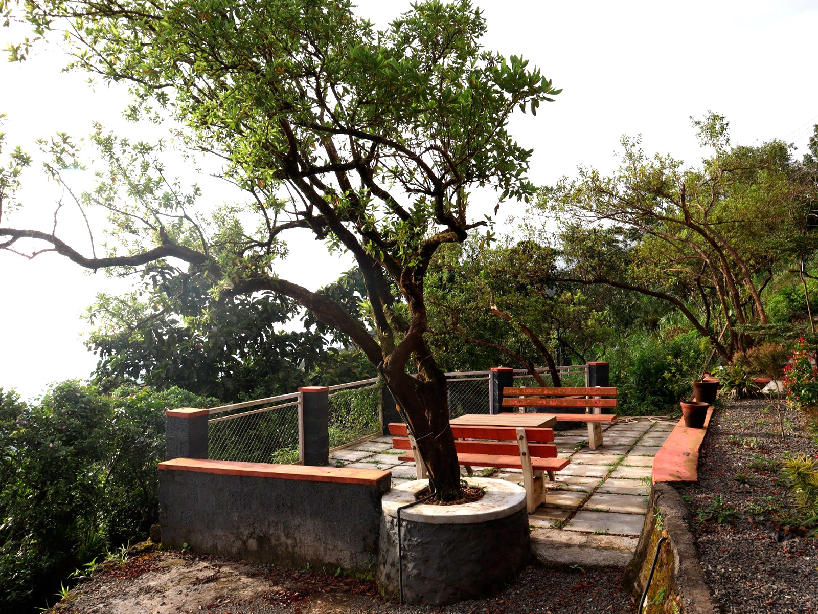 Terrace view